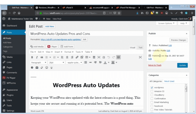 WordPress Maintenance - WPMasterclasses.com